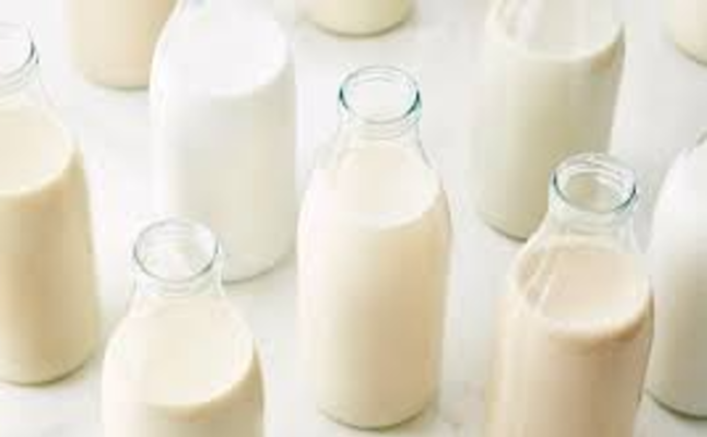 Exploring Different Types of Milk