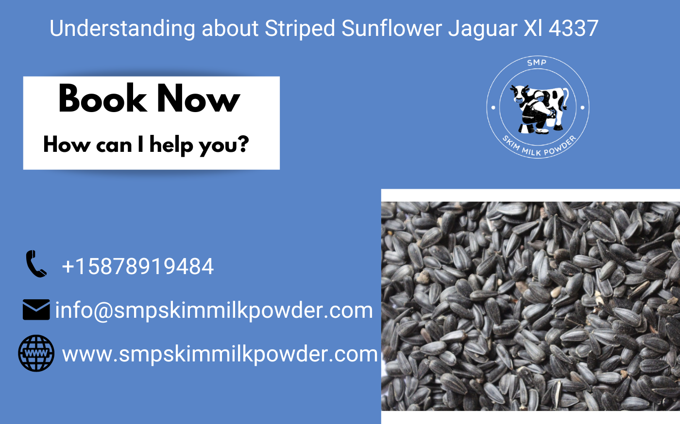 Striped Sunflower Jaguar Xl 4337