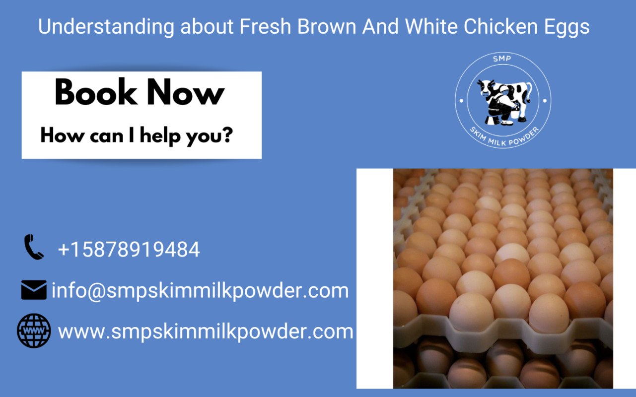 Fresh Brown And White Chicken Eggs