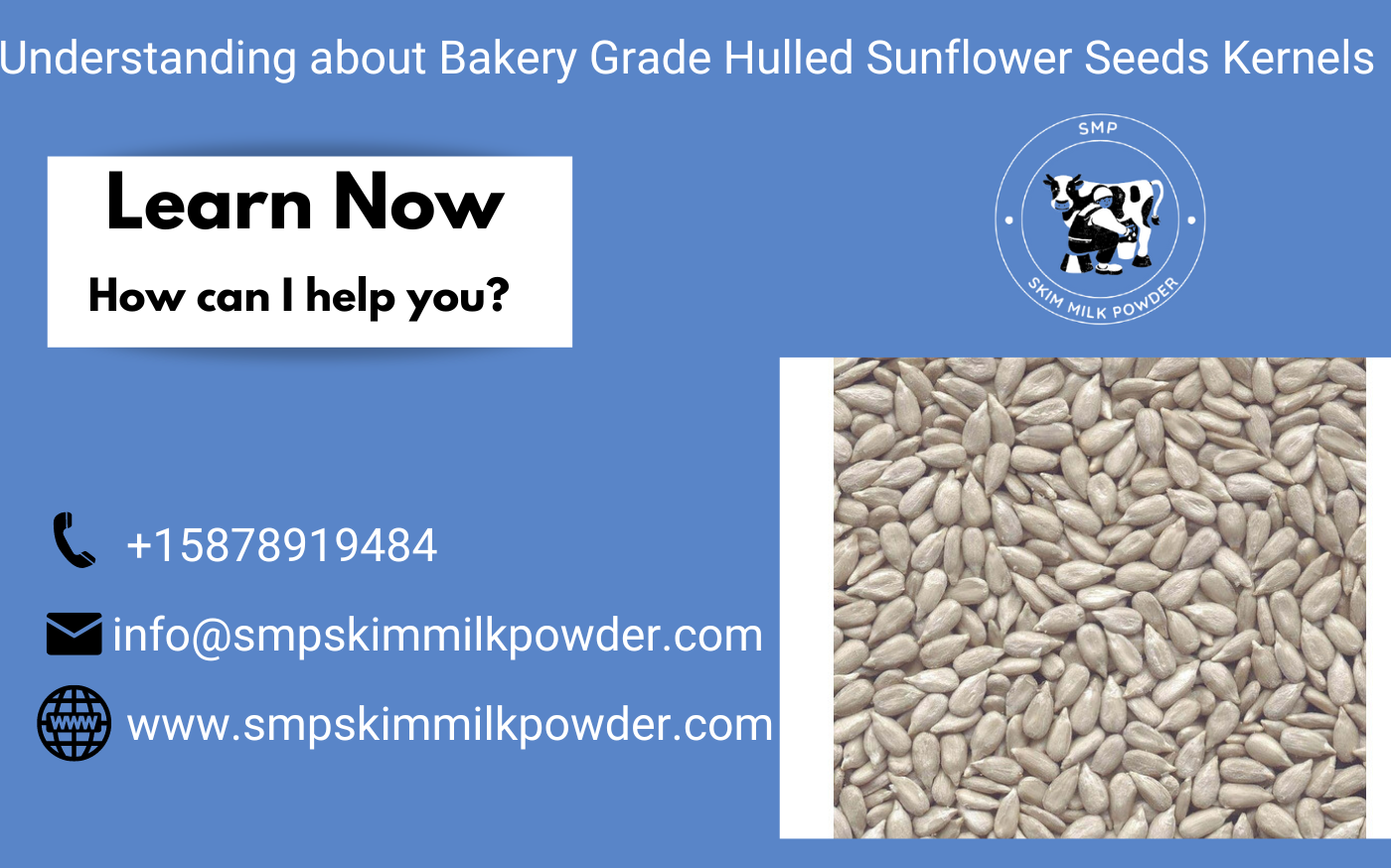 Bakery Grade Hulled Sunflower Seeds Kernels