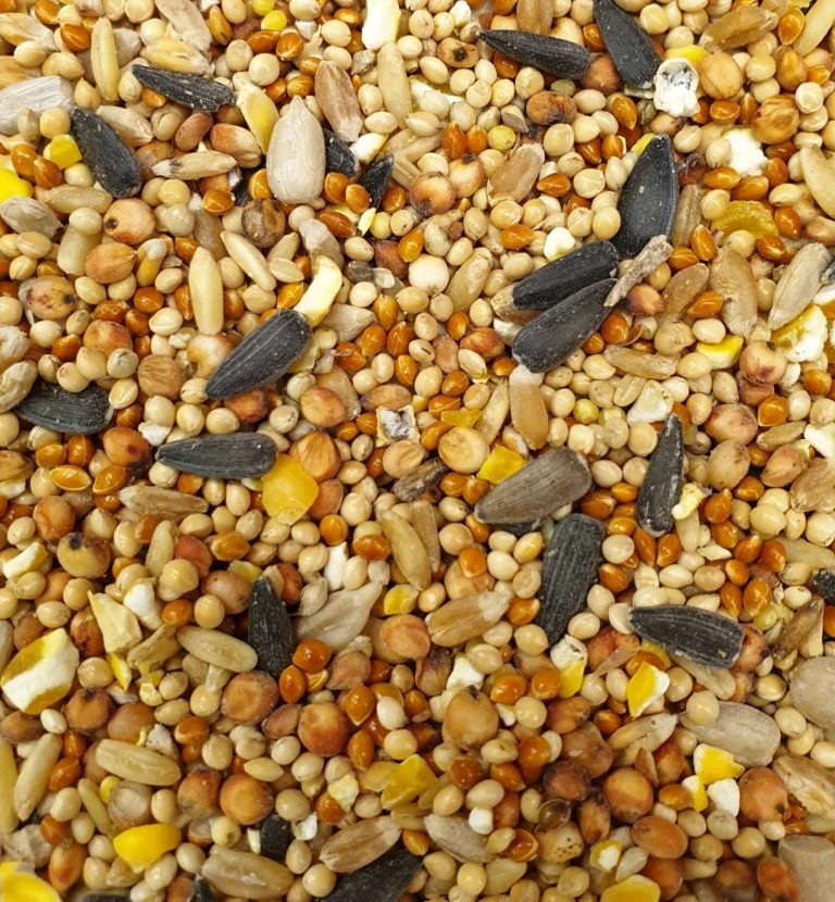 Bird Food, Bird feeding Sunflower Seeds