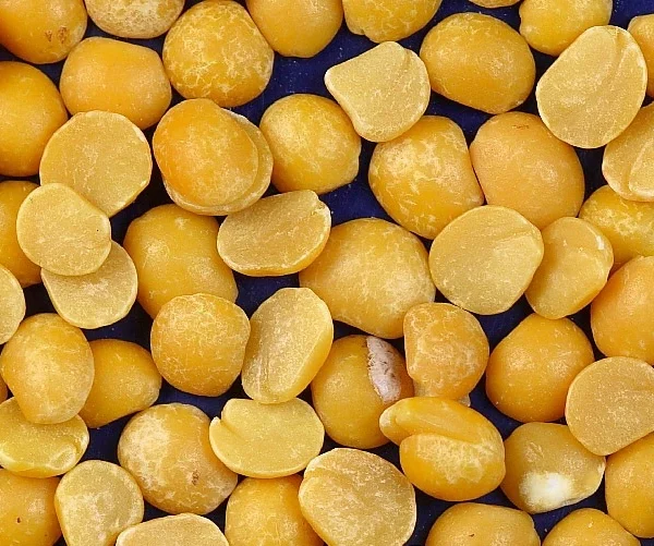 Sunflower Bakery Kernels (Hulled Sunflower Seeds)