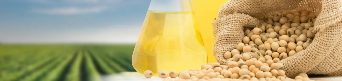 SoyaBean Oil